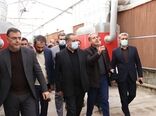 بازدید مدیران استان از یک واحد تولید محصولات گلخانه‌ای در جنوب شهرستان سمنان