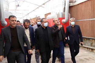بازدید مدیران استان از یک واحد تولید محصولات گلخانهای در جنوب شهرستان سمنان