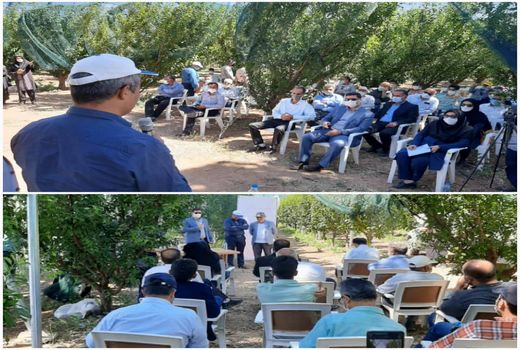 برگزاری دوره آموزشی آشنایی با سایبان‌های کشاورزی در سطح ملی در استان قزوین