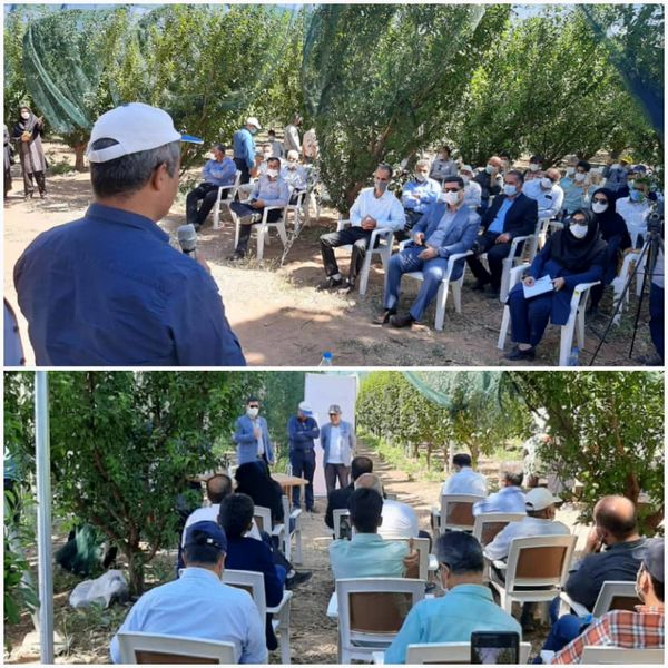 برگزاری دوره آموزشی آشنایی با سایبانهای کشاورزی در سطح ملی در استان قزوین