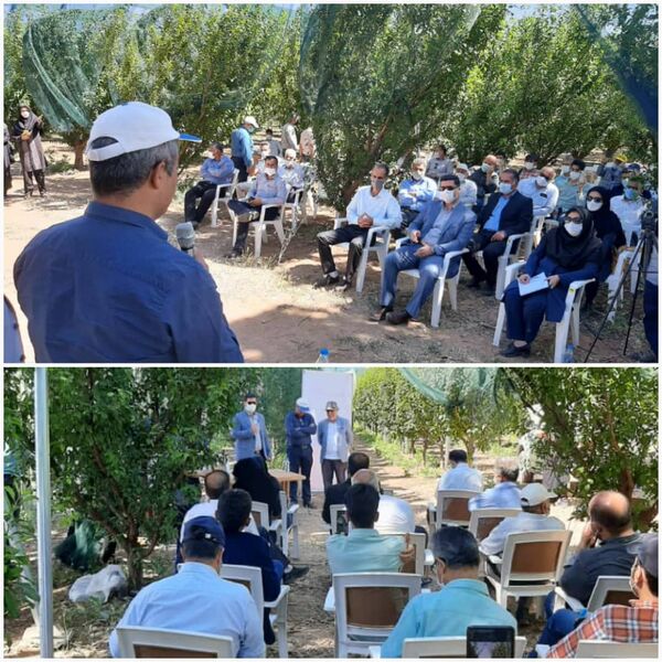 برگزاری دوره آموزشی آشنایی با سایبان‌های کشاورزی در سطح ملی در استان قزوین