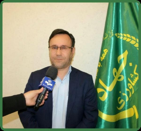 واریز ۶۰ میلیارد تومان به حساب کشاورزان لرستانی خسارت دیده