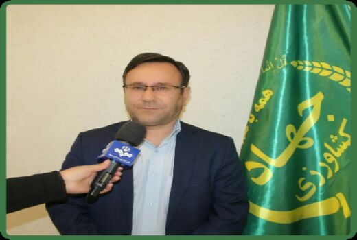 واریز ۶۰ میلیارد تومان به حساب کشاورزان لرستانی خسارت دیده