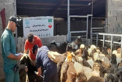 2هزار و 800خدمت رایگان با جهاد دامپزشکی در مناطق محروم شهرستان بیضا