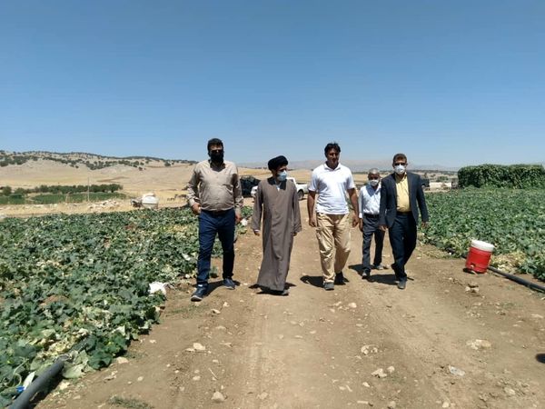 پیشرفت فیزیکی 90درصدی کشتارگاه مرغ پاطلایی کارزان