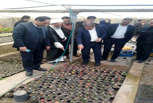 بهره‌برداری از یک واحد گلخانه گوجه فرنگی در محی آباد کرمان