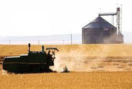 پرداخت بیش از ۹۴ میلیارد از وجوه گندم خریداری شده در خراسان شمالی 