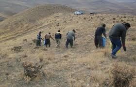 کپه کاری و بذرپاشی 131 هکتار از مراتع حوزه آبخیز چنداب 