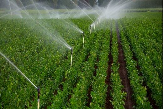 5500 میلیارد ریال اعتبار جهت تکمیل سامانه گرمسیری اختصاص یافت