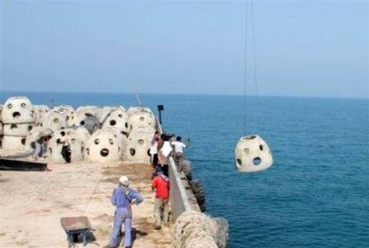 اجرا طرح مقابله با زیستگاه‌های مصنوعی غیرمجاز در سواحل بوشهر