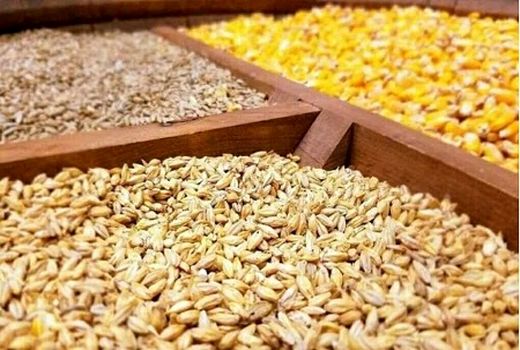 الزامی شدن خرید نهاده از طریق سامانه بازارگاه نهاده‌های کشاورزی