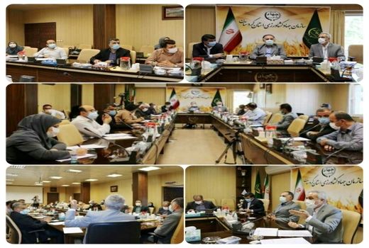 افزایش ۱۸ درصدی جوجه‌ریزی در کردستان