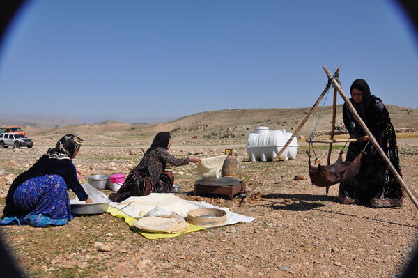 تولیدات عشایر گواهی محصول سالم می‌گیرند