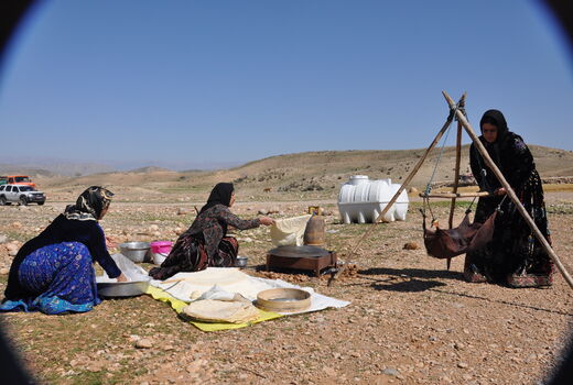 تولیدات عشایر گواهی محصول سالم می‌گیرند