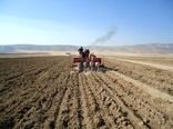 نبود بارندگی کشت کلزا در خراسان شمالی را کاهش داد