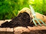 با حذف ارز ترجیحی، توان رقابت به کود تولید داخل باز می‌گردد