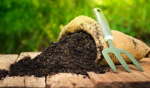 با حذف ارز ترجیحی، توان رقابت به کود تولید داخل باز می‌گردد