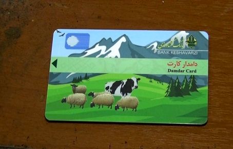 جذب 263 میلیارد ریال اعتبار در قالب دامدار کارت به استان کرمان