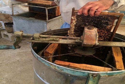 عسل کنار زنبورداران قیروکارزین رسید 