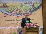 سرمایه‌گذاری در منابع انسانی راه نجات کشاورزی است/ تحول آموزش کشاورزی با نگاه شایسته‌محور و تخصص‌گرا
