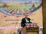 سرمایه‌گذاری در منابع انسانی راه نجات کشاورزی است/ تحول آموزش کشاورزی با نگاه شایسته‌محور و تخصص‌گرا