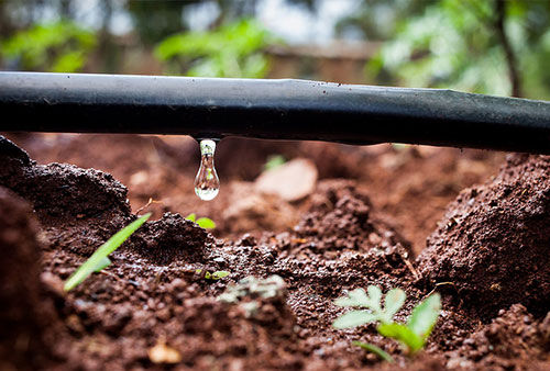 آغاز نیاز سنجی اراضی مستعد اجرای سامانه های نوین آبیاری در چهارمحال و بختیاری 