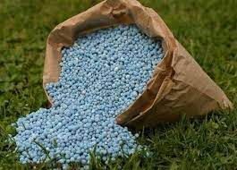 توزیع ۹۲۴ تن انواع کود شیمیایی در بین بهره برداران شهرستان البرز