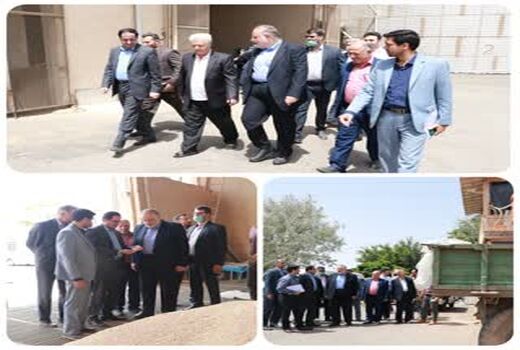 بازدید استاندار قزوین از یک واحد تولیدی آرد در استان قزوین