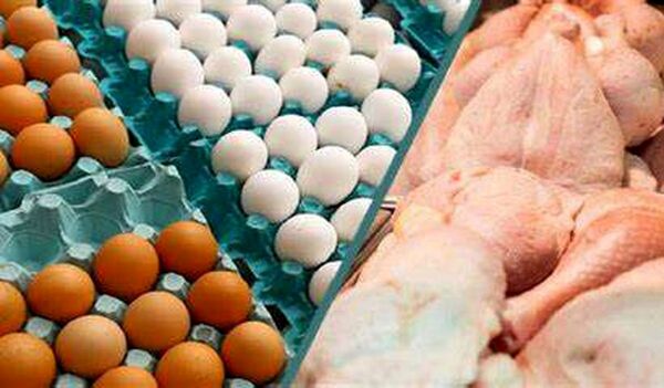 ۳۰ درصد بیش از نیاز کشور، توان عرضه مرغ و تخم مرغ به بازار وجود دارد