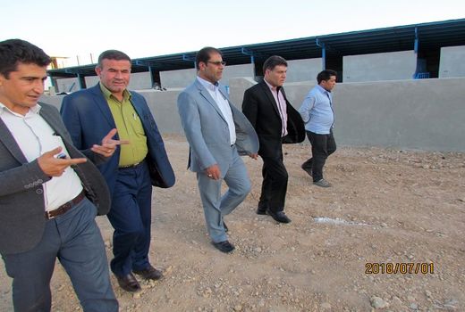 پیگیری تکمیل میدان عرضه دام زنده در  کهگیلویه و بویراحمد 