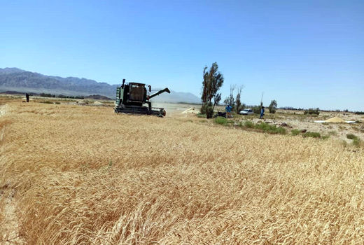 افزایش صادرات کشاورزی اصفهان در دولت تدبیر، حاصل همت و برنامه‌ریزی