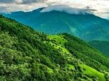 طرح مدیریت پایدار جنگل، تفکر اکوسیستمی است