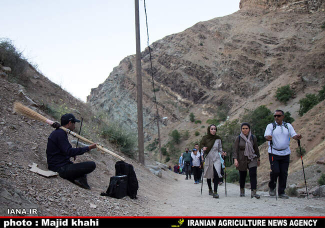کوه پیمایی