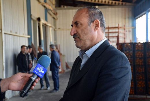  خرید گوجه فرنگی برای حمایت از کشاورزان آذربایجان غربی