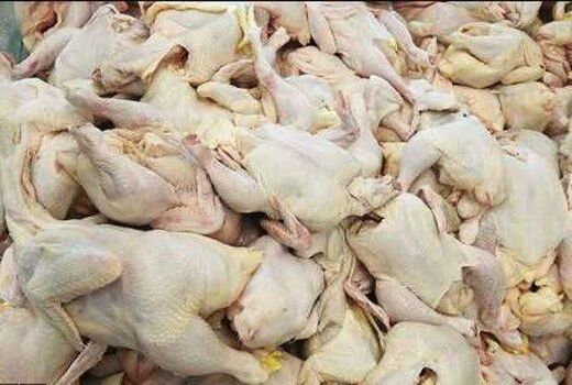 افزایش 37 درصدی تولید گوشت مرغ در استان چهارمحال و بختیاری 