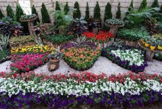 برگزاری نمایشگاه گل و گیاه 10 الی 15 خرداد ماه شهرستان سیرجان