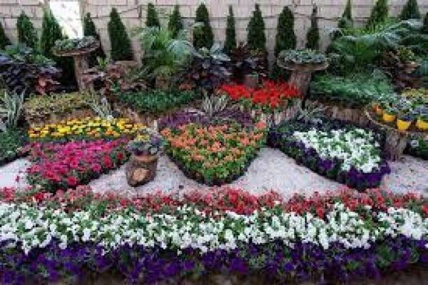 برگزاری نمایشگاه گل و گیاه 10 الی 15 خرداد ماه شهرستان سیرجان
