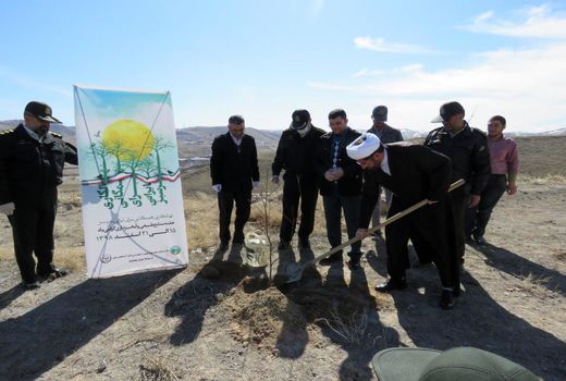 اختصاص 14000 اصله نهال برای کاشت در سطح 23 هکتار مراکز آموزشی فرماندهی انتظامی استان