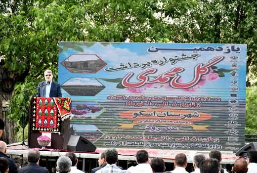 لزوم گسترش صنایع تبدیلی گل‌محمدی در اسکو