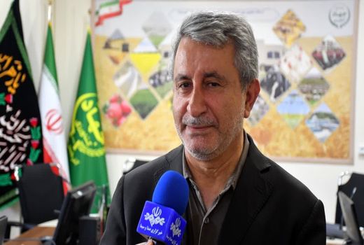 مطالبات کشاورزان تا پایان شهریورماه پرداخت می‌شود