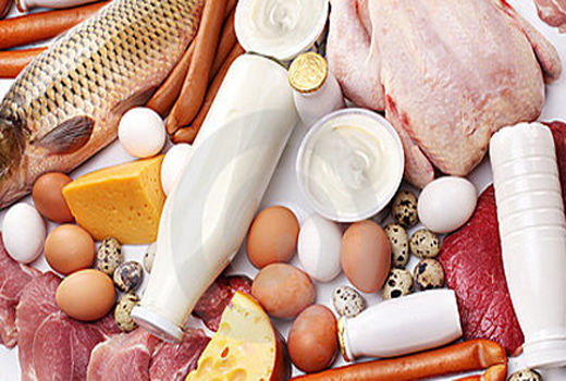 343هزار تن محصولات دامی در استان قزوین تولید شد