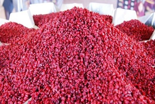 فرآوری ۴۳ درصد زرشک خراسان جنوبی 
