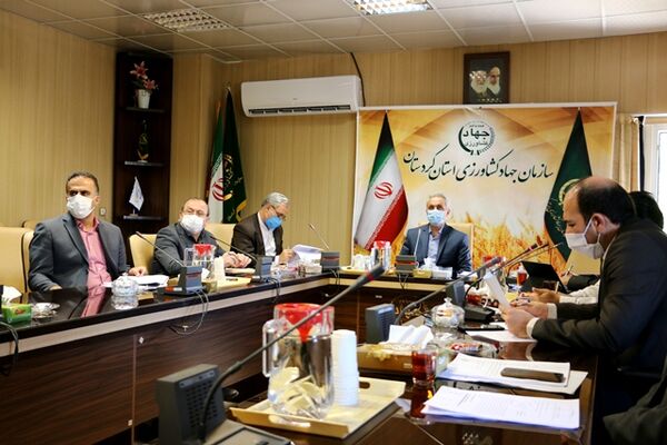 گلخانه‌های کردستان ۵۴۷ میلیارد ریال تسهیلات گرفتند