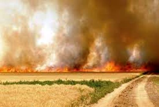 جلوگیری از فرسایش خاک با منع آتش زدن کاه و کلش