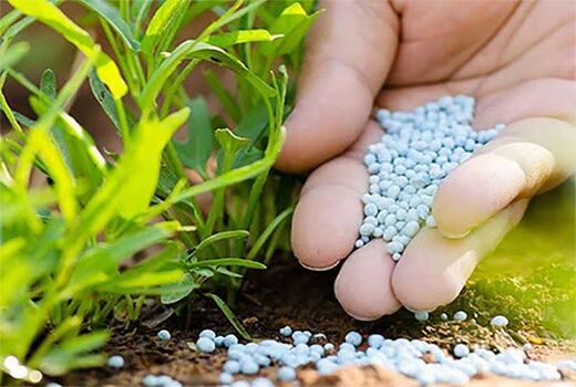 توزیع ۴۷۰۰ تن کود در کهگیلویه زیر چتر شفافیت الکترونیک