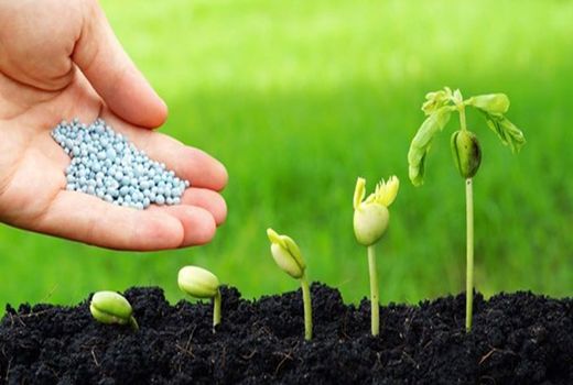  روند تأمین و توزیع نهاده ها در استان البرز مطلوب است