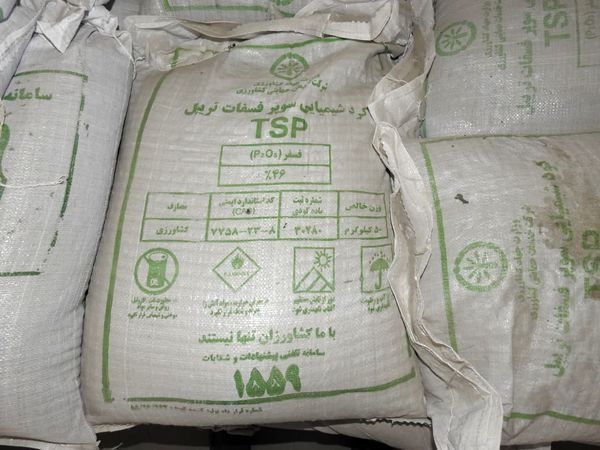 تأمین و توزیع 871 تن کود TSP در استان البرز