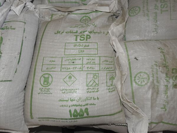 تأمین و توزیع 871 تن کود TSP در استان البرز