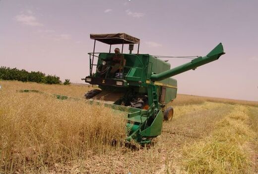 کمباین‌های معیوب در فاروج اجازه فعالیت ندارند
