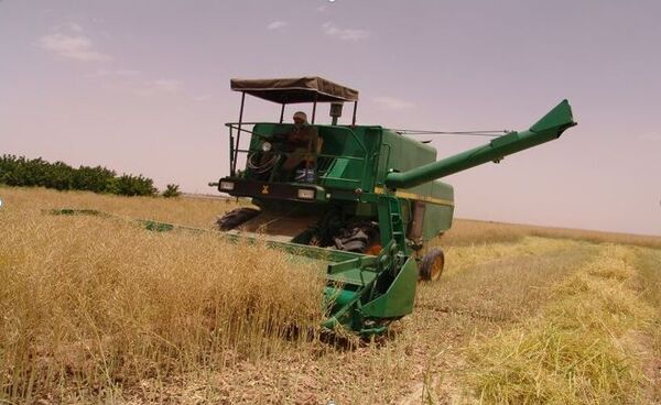 کمباین‌های معیوب در فاروج اجازه فعالیت ندارند